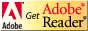 Descargar Adobe Reader
